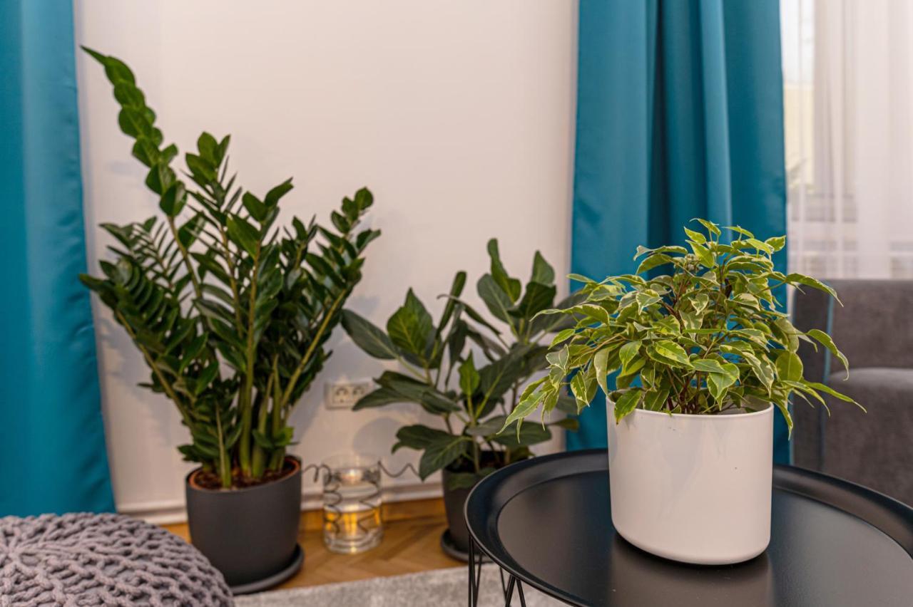 Garden Hideout - Central Apartment Brasov Exterior photo
